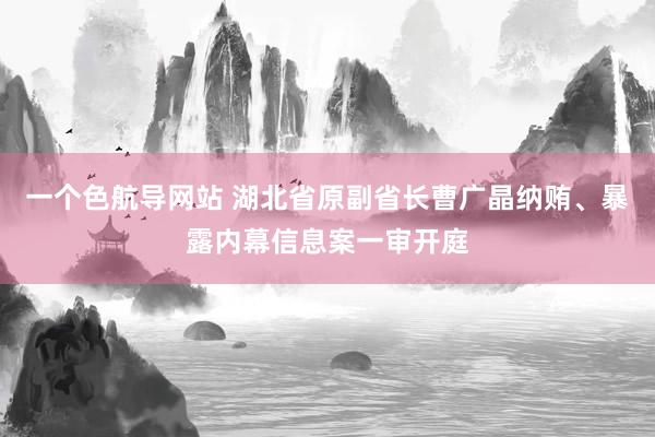 一个色航导网站 湖北省原副省长曹广晶纳贿、暴露内幕信息案一审开庭