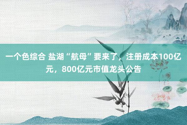 一个色综合 盐湖“航母”要来了，注册成本100亿元，800亿元市值龙头公告