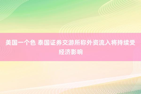 美国一个色 泰国证券交游所称外资流入将持续受经济影响