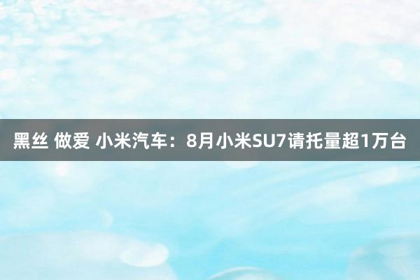 黑丝 做爱 小米汽车：8月小米SU7请托量超1万台