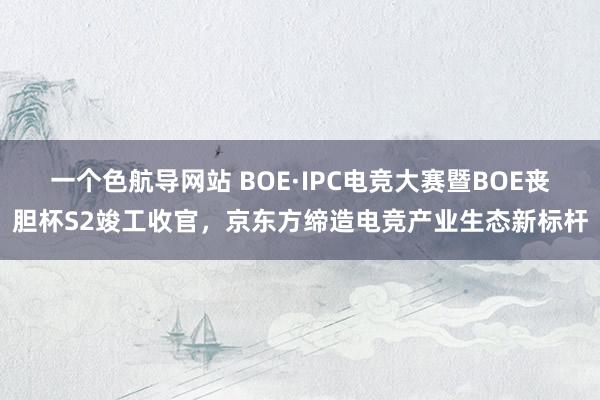 一个色航导网站 BOE·IPC电竞大赛暨BOE丧胆杯S2竣工收官，京东方缔造电竞产业生态新标杆