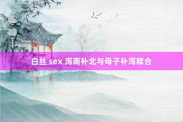 白丝 sex 泻南补北与母子补泻糅合