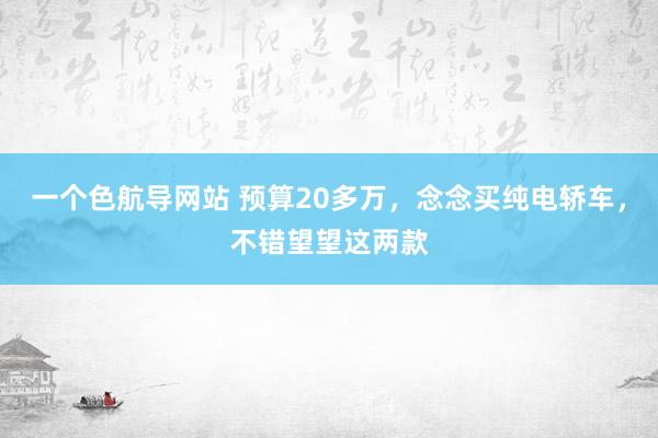 一个色航导网站 预算20多万，念念买纯电轿车，不错望望这两款