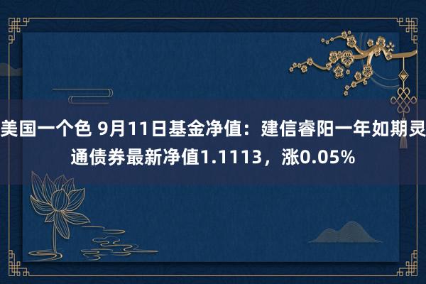 美国一个色 9月11日基金净值：建信睿阳一年如期灵通债券最新净值1.1113，涨0.05%