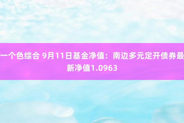 一个色综合 9月11日基金净值：南边多元定开债券最新净值1.0963