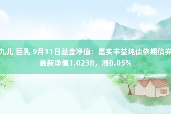 九儿 巨乳 9月11日基金净值：嘉实丰益纯债依期债券最新净值1.0238，涨0.05%