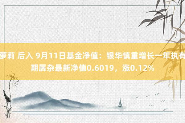 萝莉 后入 9月11日基金净值：银华慎重增长一年执有期羼杂最新净值0.6019，涨0.12%