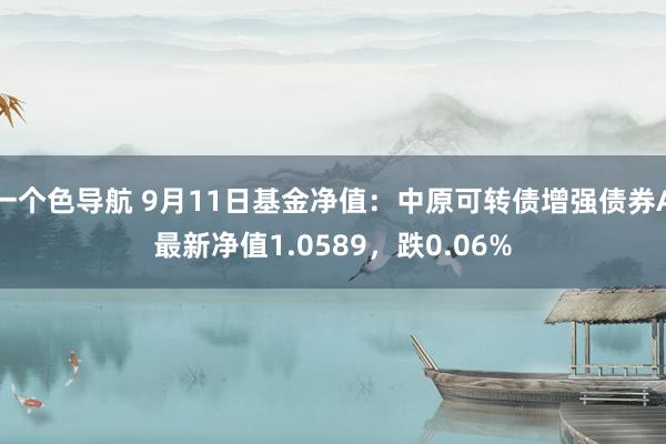 一个色导航 9月11日基金净值：中原可转债增强债券A最新净值1.0589，跌0.06%