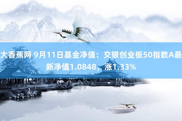 大香蕉网 9月11日基金净值：交银创业板50指数A最新净值1.0848，涨1.33%