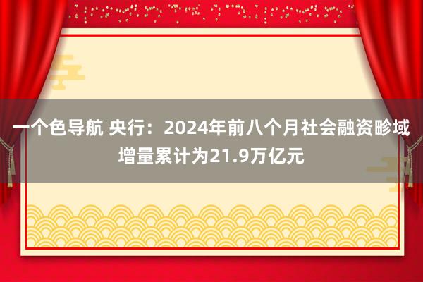 一个色导航 央行：2024年前八个月社会融资畛域增量累计为21.9万亿元