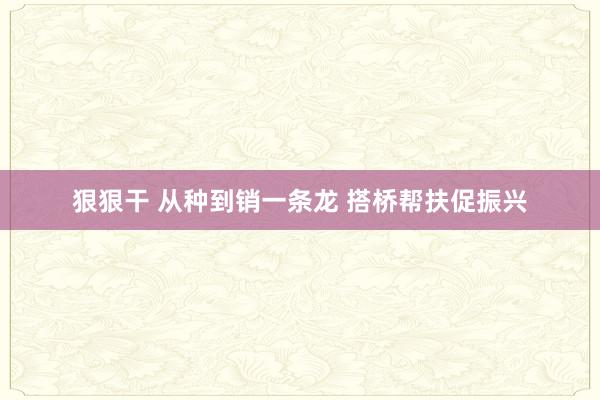 狠狠干 从种到销一条龙 搭桥帮扶促振兴