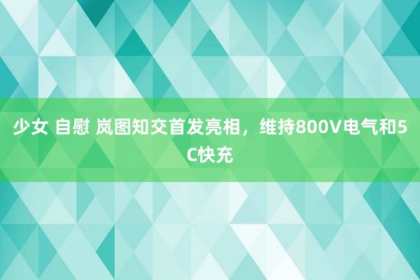 少女 自慰 岚图知交首发亮相，维持800V电气和5C快充