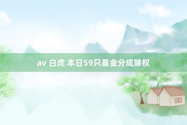 av 白虎 本日59只基金分成除权