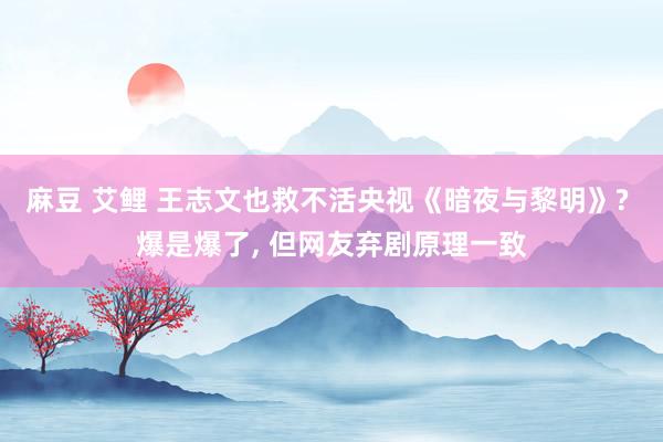 麻豆 艾鲤 王志文也救不活央视《暗夜与黎明》? 爆是爆了， 但网友弃剧原理一致