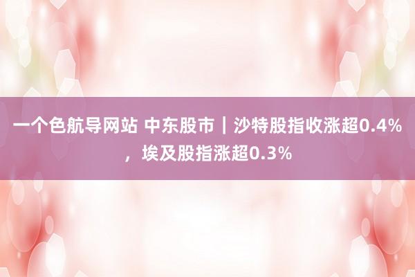 一个色航导网站 中东股市｜沙特股指收涨超0.4%，埃及股指涨超0.3%