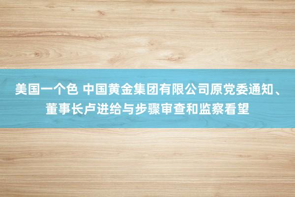 美国一个色 中国黄金集团有限公司原党委通知、董事长卢进给与步骤审查和监察看望