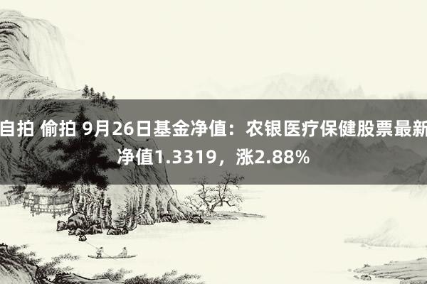 自拍 偷拍 9月26日基金净值：农银医疗保健股票最新净值1.3319，涨2.88%