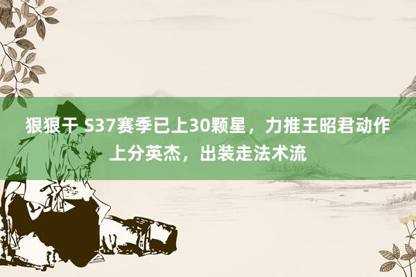 狠狠干 S37赛季已上30颗星，力推王昭君动作上分英杰，出装走法术流