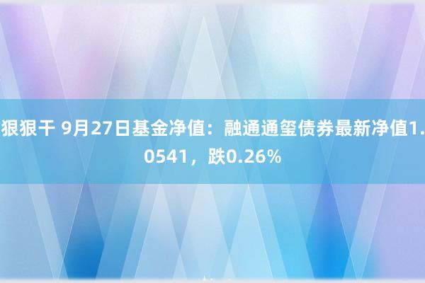 狠狠干 9月27日基金净值：融通通玺债券最新净值1.0541，跌0.26%