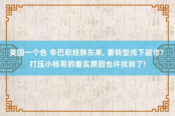 美国一个色 辛巴取经胖东来， 要转型线下超市? 打压小杨哥的着实原因也许找到了!