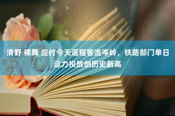 清野 裸舞 应付今天返程客流岑岭，铁路部门单日运力投放创历史新高