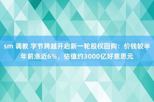 sm 调教 字节跨越开启新一轮股权回购：价钱较半年前涨近6%，估值约3000亿好意思元