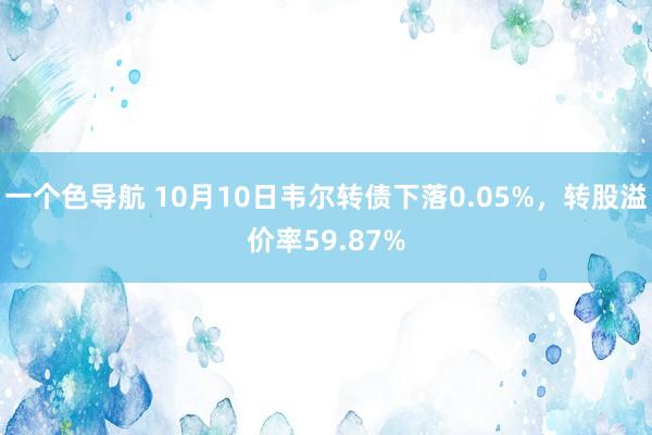 一个色导航 10月10日韦尔转债下落0.05%，转股溢价率59.87%