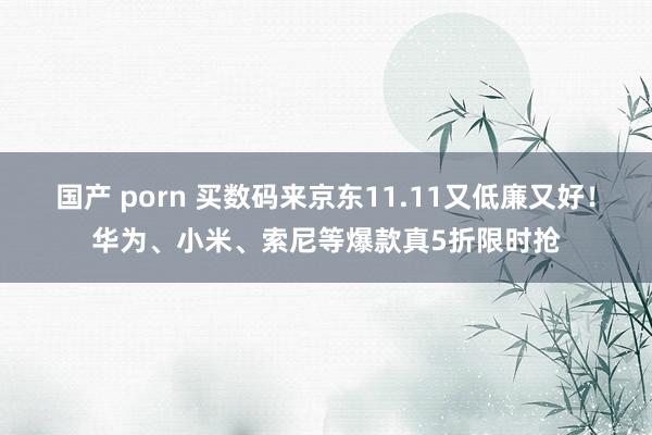 国产 porn 买数码来京东11.11又低廉又好！华为、小米、索尼等爆款真5折限时抢