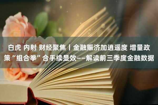 白虎 内射 财经聚焦丨金融赈济加逍遥度 增量政策“组合拳”合手续显效——解读前三季度金融数据