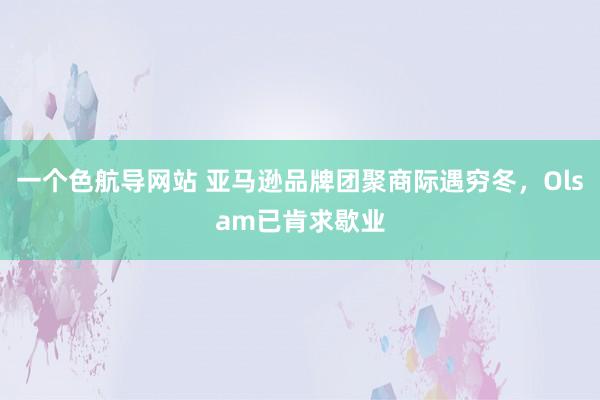 一个色航导网站 亚马逊品牌团聚商际遇穷冬，Olsam已肯求歇业