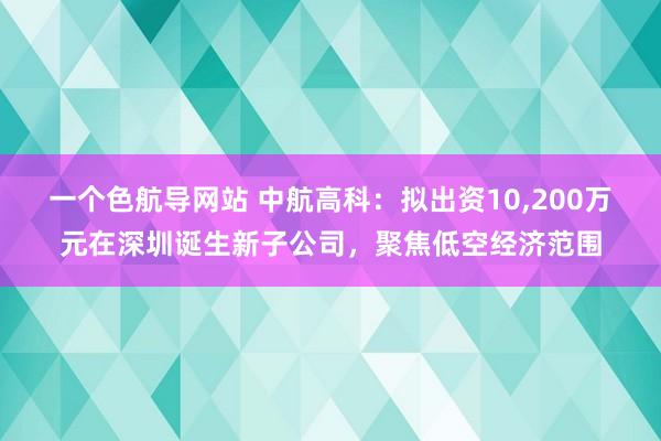 一个色航导网站 中航高科：拟出资10，200万元在深圳诞生新子公司，聚焦低空经济范围