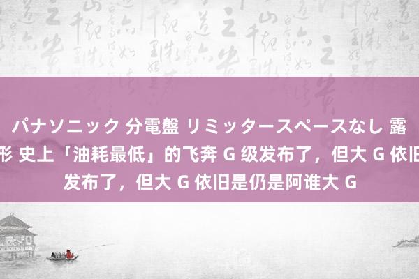 パナソニック 分電盤 リミッタースペースなし 露出・半埋込両用形 史上「油耗最低」的飞奔 G 级发布了，但大 G 依旧是仍是阿谁大 G