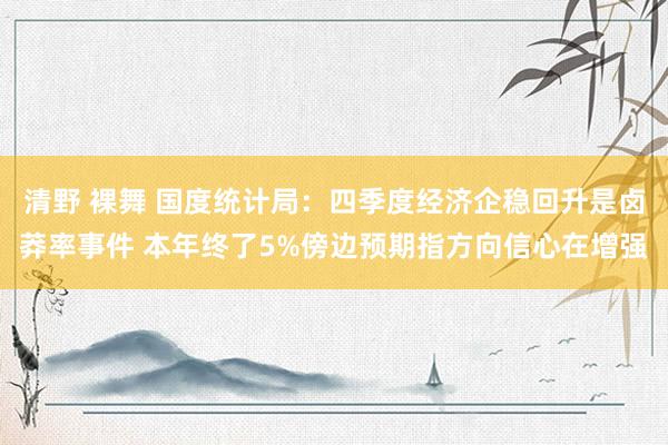 清野 裸舞 国度统计局：四季度经济企稳回升是卤莽率事件 本年终了5%傍边预期指方向信心在增强