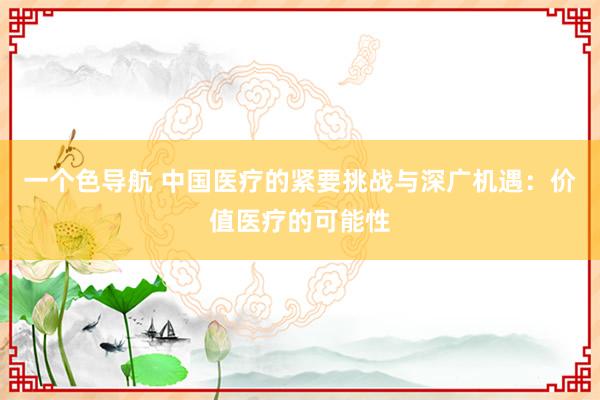 一个色导航 中国医疗的紧要挑战与深广机遇：价值医疗的可能性