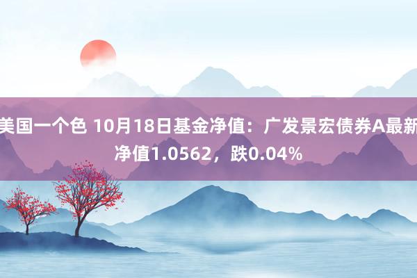 美国一个色 10月18日基金净值：广发景宏债券A最新净值1.0562，跌0.04%