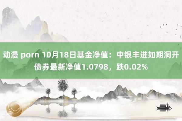 动漫 porn 10月18日基金净值：中银丰进如期洞开债券最新净值1.0798，跌0.02%