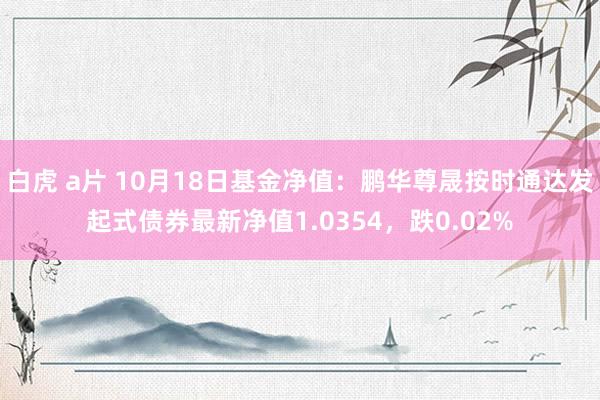 白虎 a片 10月18日基金净值：鹏华尊晟按时通达发起式债券最新净值1.0354，跌0.02%