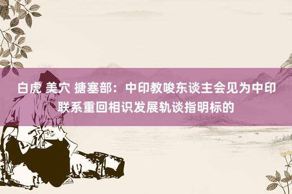 白虎 美穴 搪塞部：中印教唆东谈主会见为中印联系重回相识发展轨谈指明标的