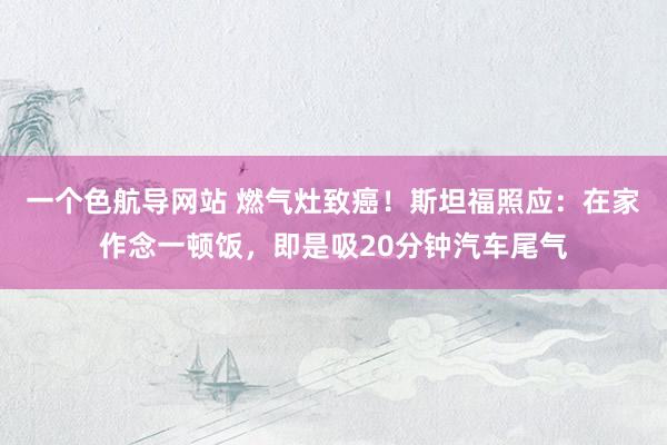 一个色航导网站 燃气灶致癌！斯坦福照应：在家作念一顿饭，即是吸20分钟汽车尾气