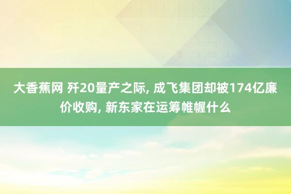 大香蕉网 歼20量产之际， 成飞集团却被174亿廉价收购， 新东家在运筹帷幄什么