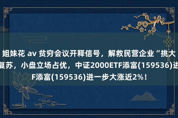 姐妹花 av 贫穷会议开释信号，解救民营企业“挑大梁”！投资信心复苏，小盘立场占优，中证2000ETF添富(159536)进一步大涨近2%！