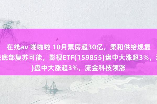 在线av 啪啪啦 10月票房超30亿，柔和供给规复之下影视板块底部复苏可能，影视ETF(159855)盘中大涨超3%，流金科技领涨