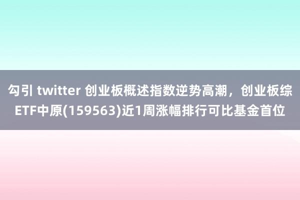 勾引 twitter 创业板概述指数逆势高潮，创业板综ETF中原(159563)近1周涨幅排行可比基金首位