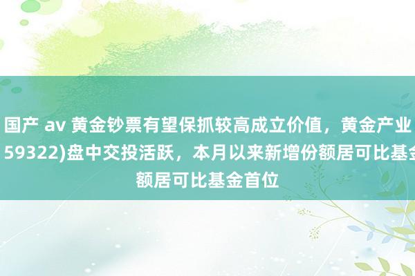 国产 av 黄金钞票有望保抓较高成立价值，黄金产业ETF(159322)盘中交投活跃，本月以来新增份额居可比基金首位