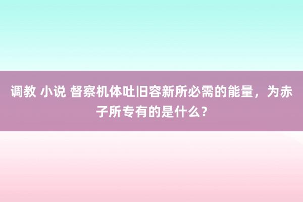 调教 小说 督察机体吐旧容新所必需的能量，为赤子所专有的是什么？