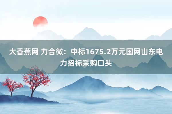 大香蕉网 力合微：中标1675.2万元国网山东电力招标采购口头