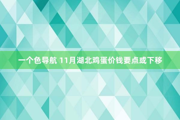 一个色导航 11月湖北鸡蛋价钱要点或下移