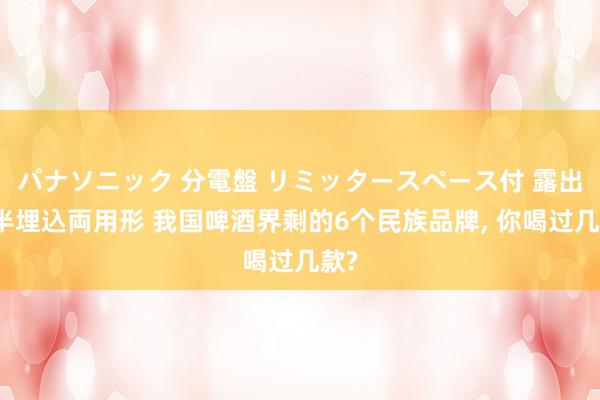 パナソニック 分電盤 リミッタースペース付 露出・半埋込両用形 我国啤酒界剩的6个民族品牌， 你喝过几款?