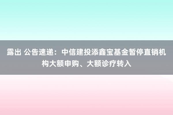 露出 公告速递：中信建投添鑫宝基金暂停直销机构大额申购、大额诊疗转入