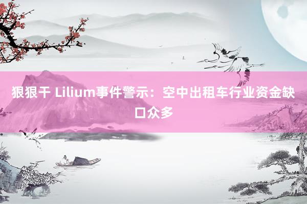 狠狠干 Lilium事件警示：空中出租车行业资金缺口众多